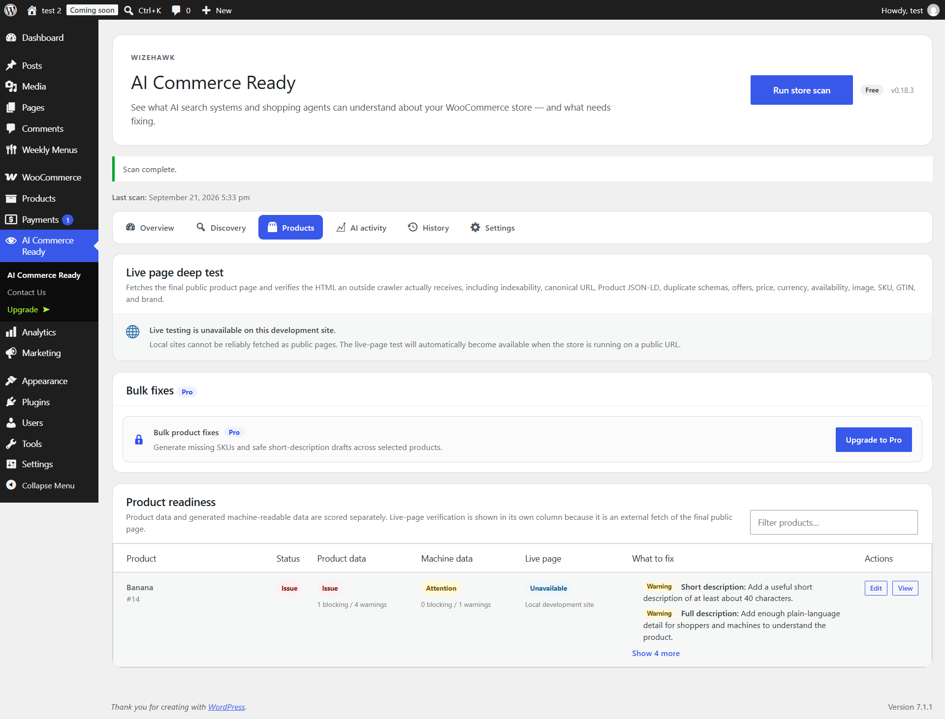 Store Discovery Audit product checks on a local site